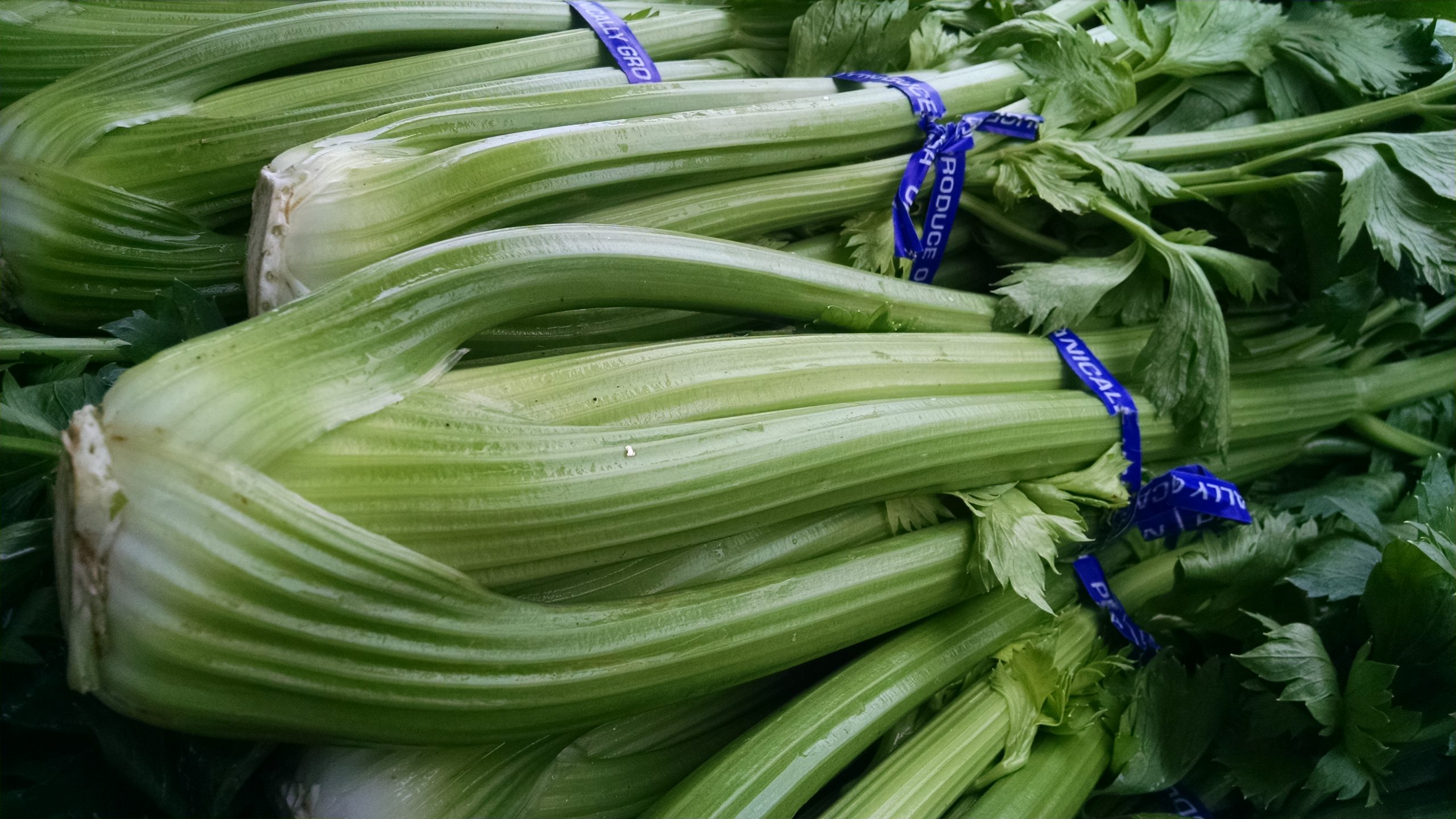 Celery By the bunch Horton Road Organics