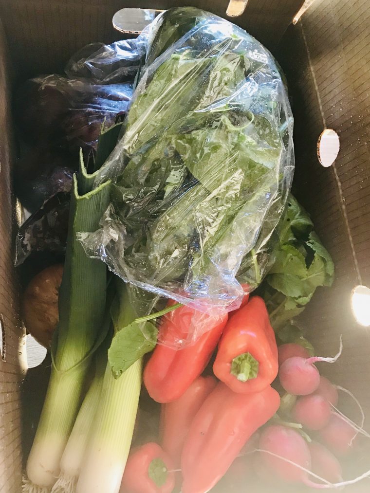 Blog Page 8 of 17 Horton Road Organics