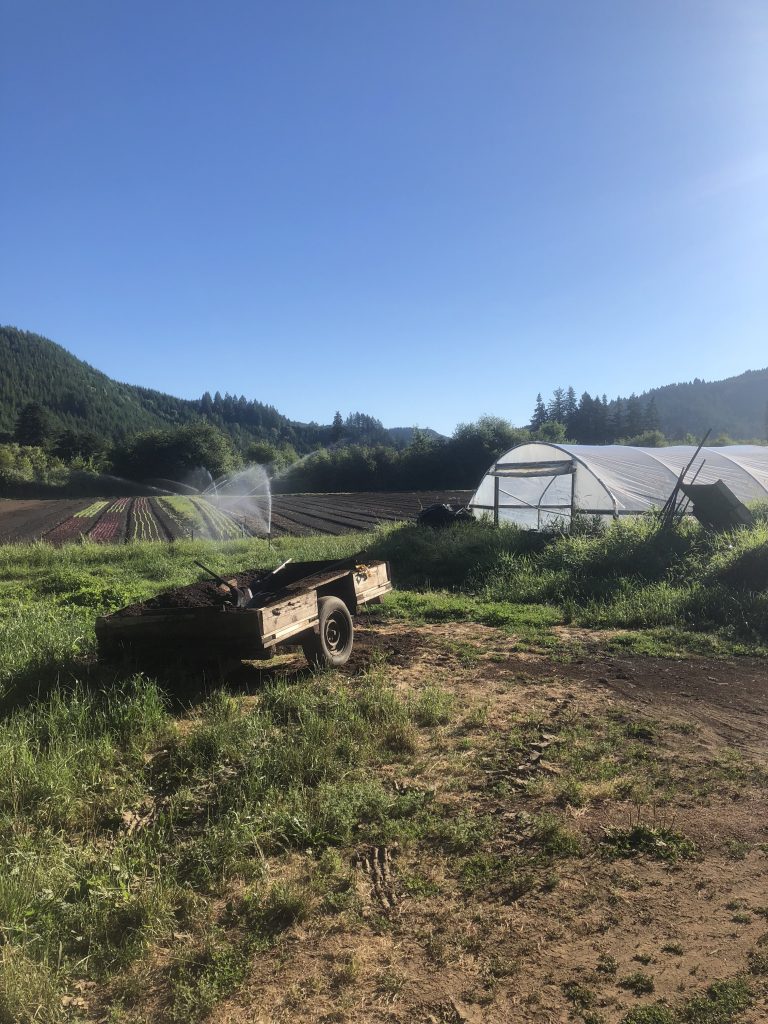 First Impressions Horton Road Organics