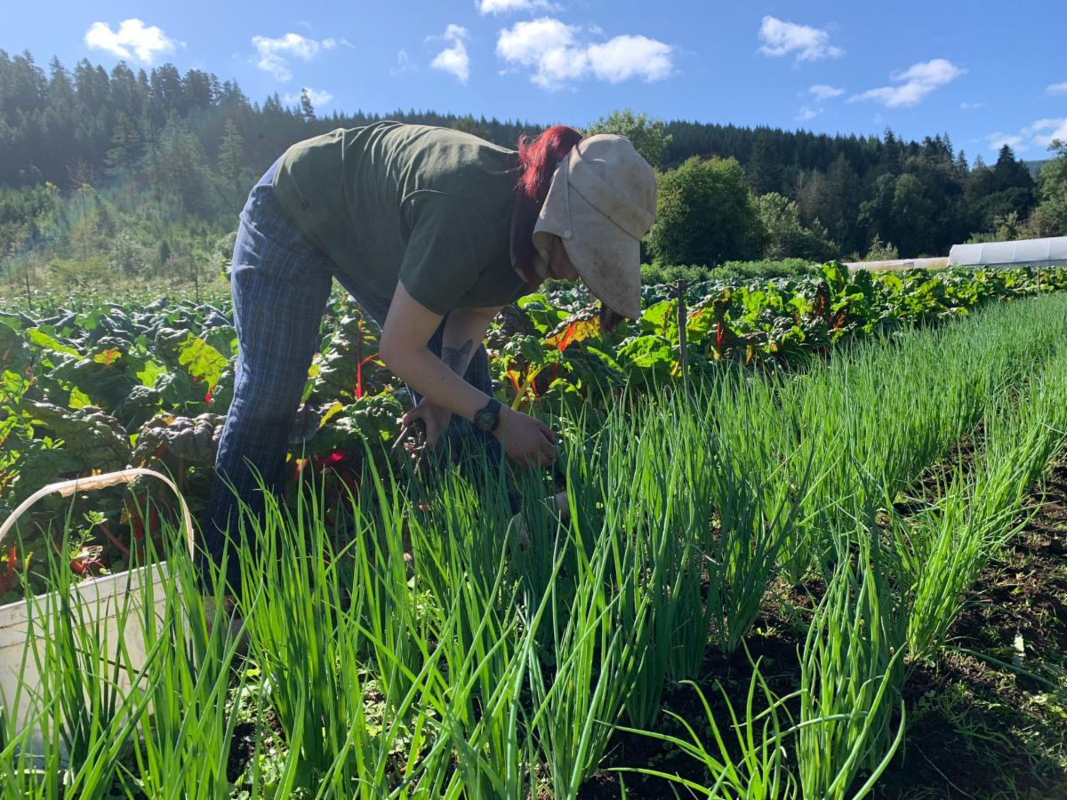 Requirements Horton Road Organics