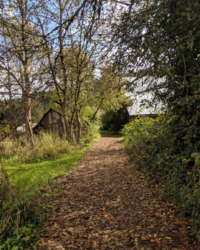 Fully Autumnal Horton Road Organics