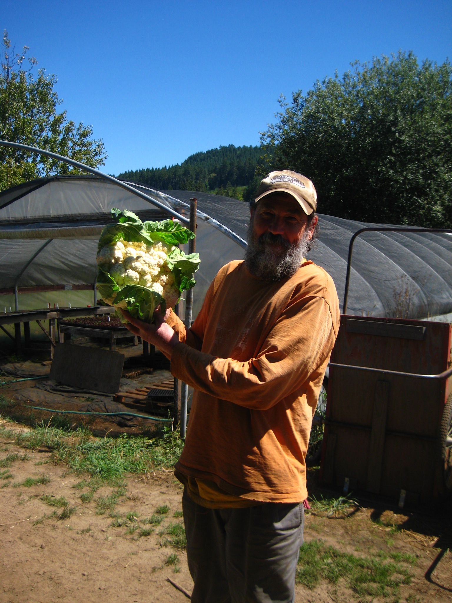 CSA Week 8 Horton Road Organics
