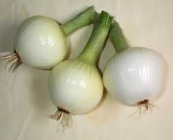 Alliums (Onion Family)