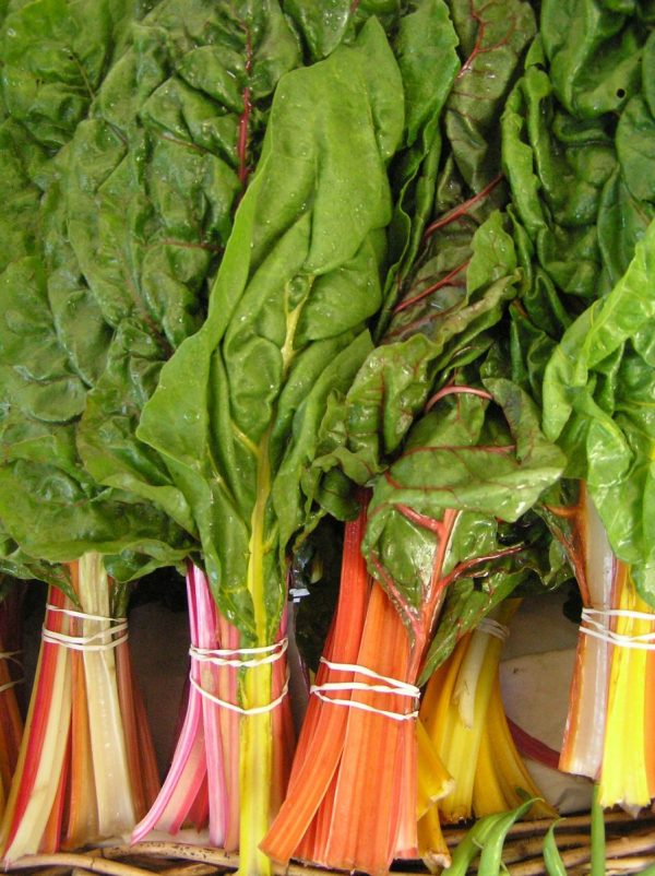 Rainbow Chard By the bunch Horton Road Organics