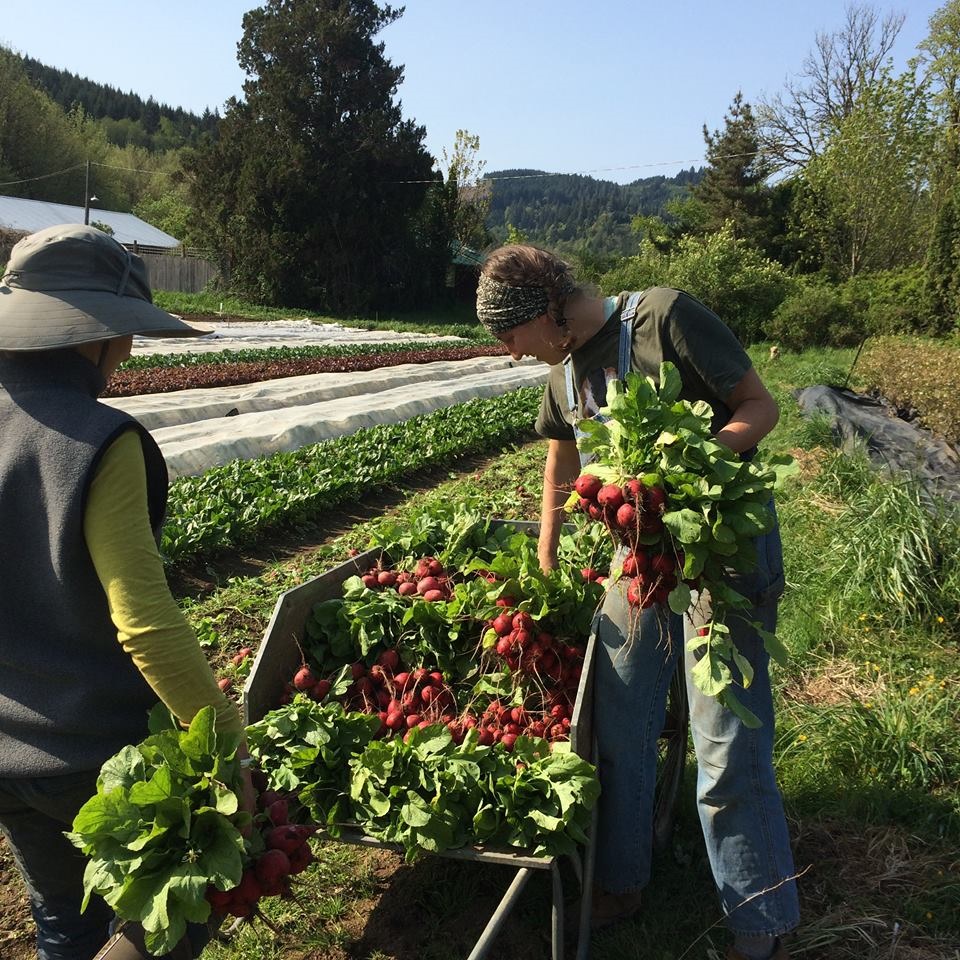 New PartTime Internship! Horton Road Organics