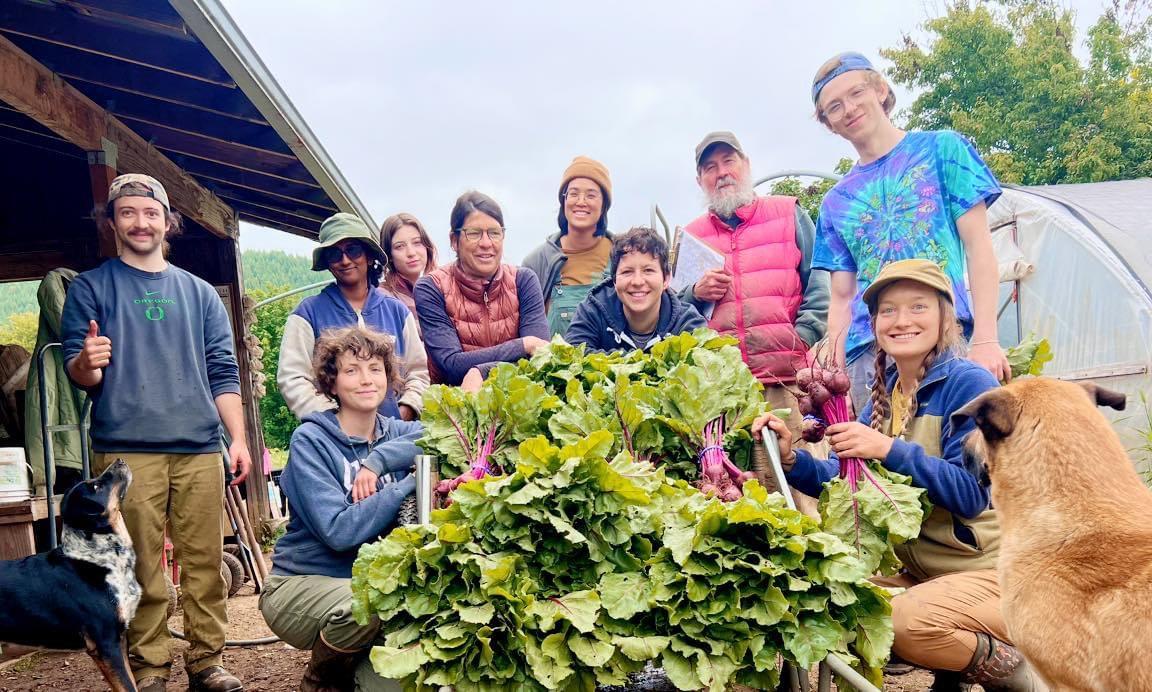 PartTime Summer Internship Horton Road Organics