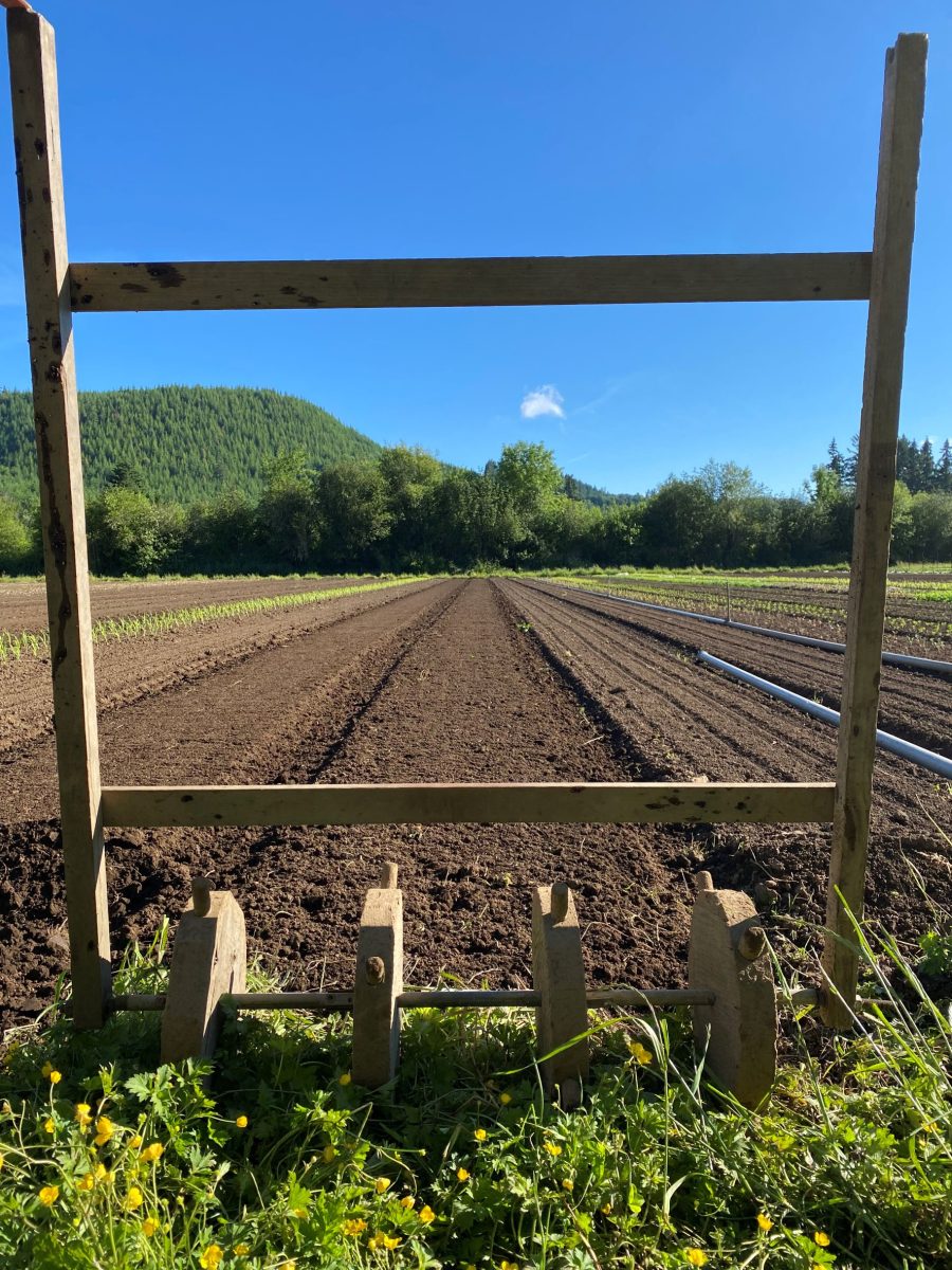 Dreaming the 2023 Season Horton Road Organics
